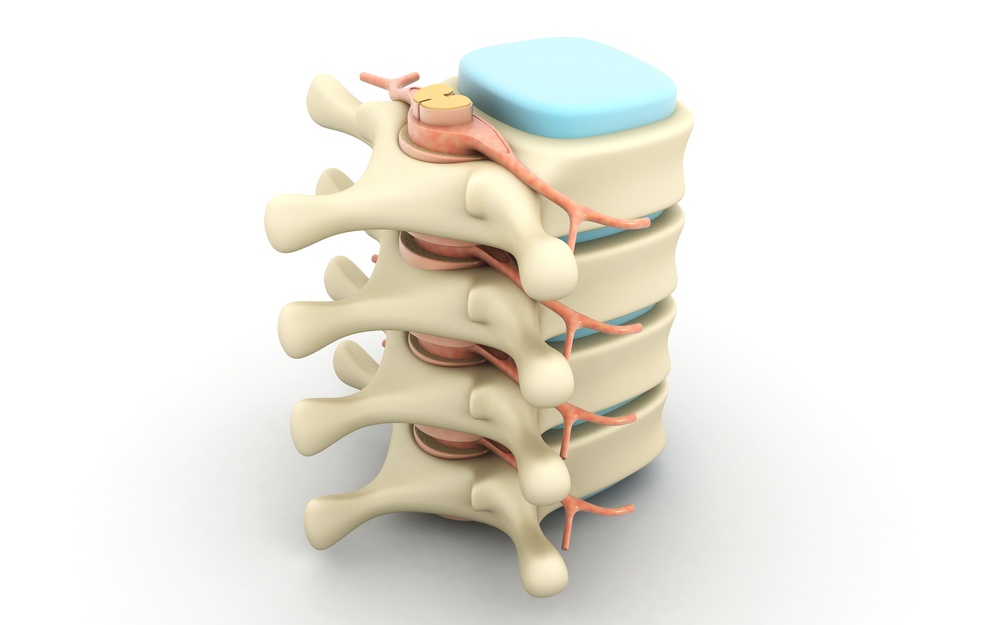 fratture vertebrali sintomi struttura vertebra