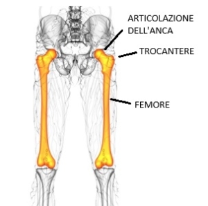 Femore, trocantere e articolazione dell'anca Capire la trocanterite. Anatomia del femore